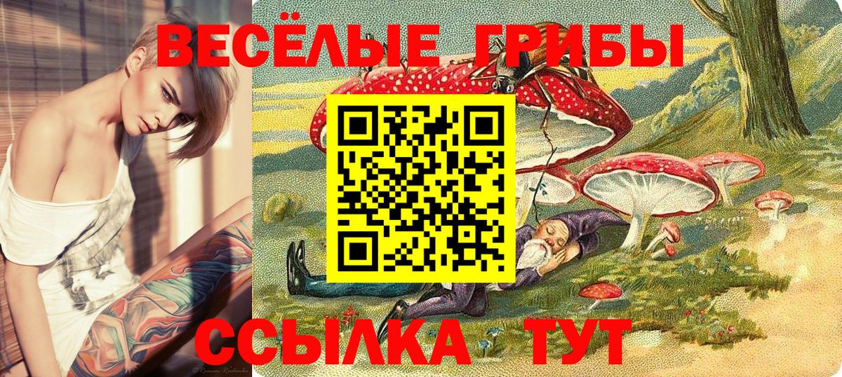 Галлюциногенные грибы Cubensis Губаха